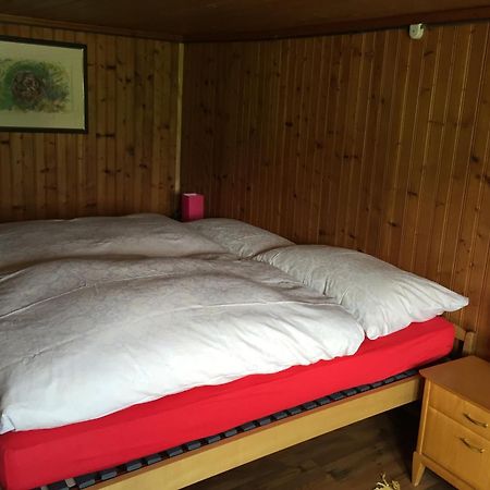 Wohlfuehloase Fuer Mensch Und Hund Bed & Breakfast Uzwil Eksteriør bilde