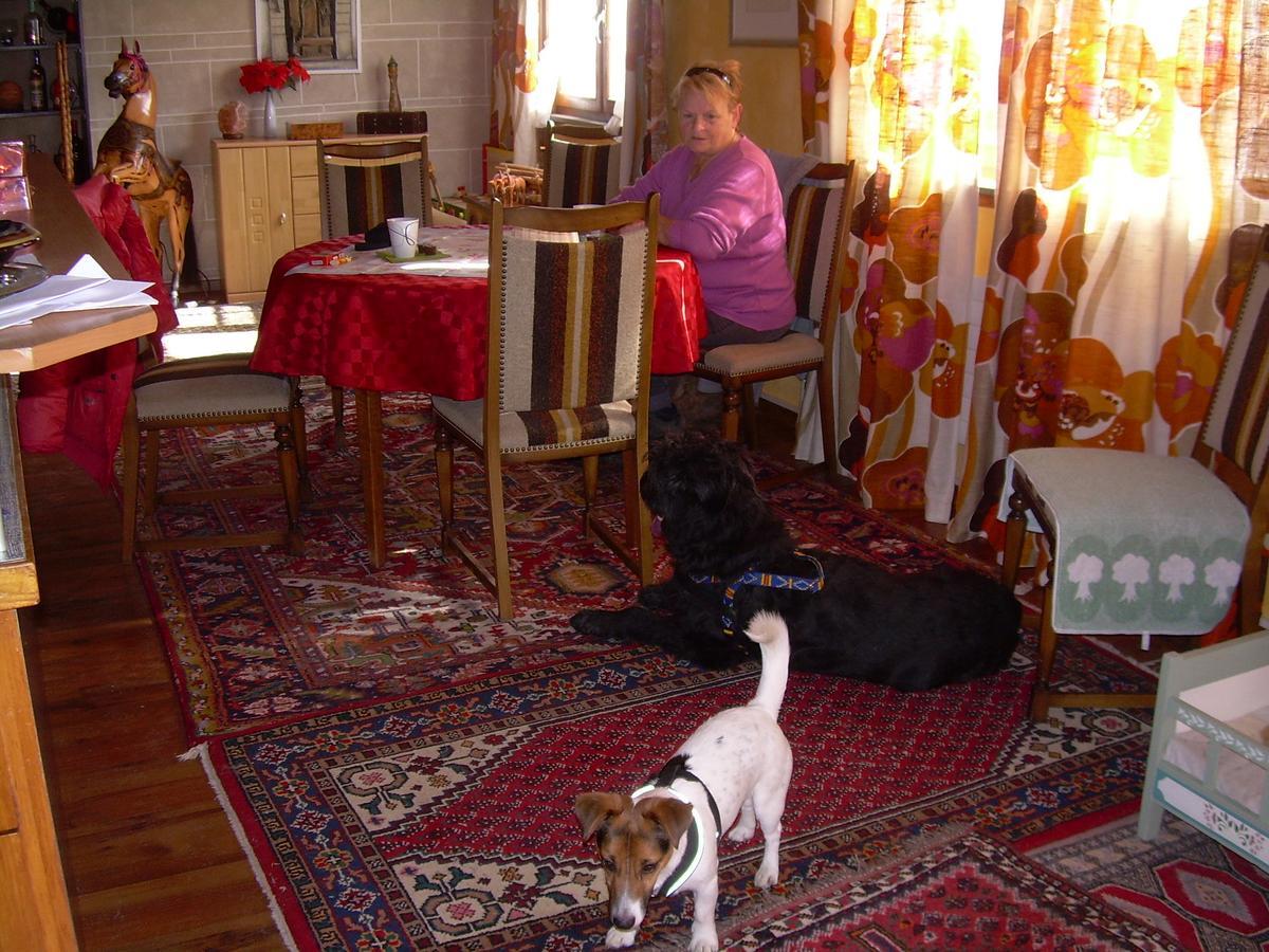 Wohlfuehloase Fuer Mensch Und Hund Bed & Breakfast Uzwil Eksteriør bilde