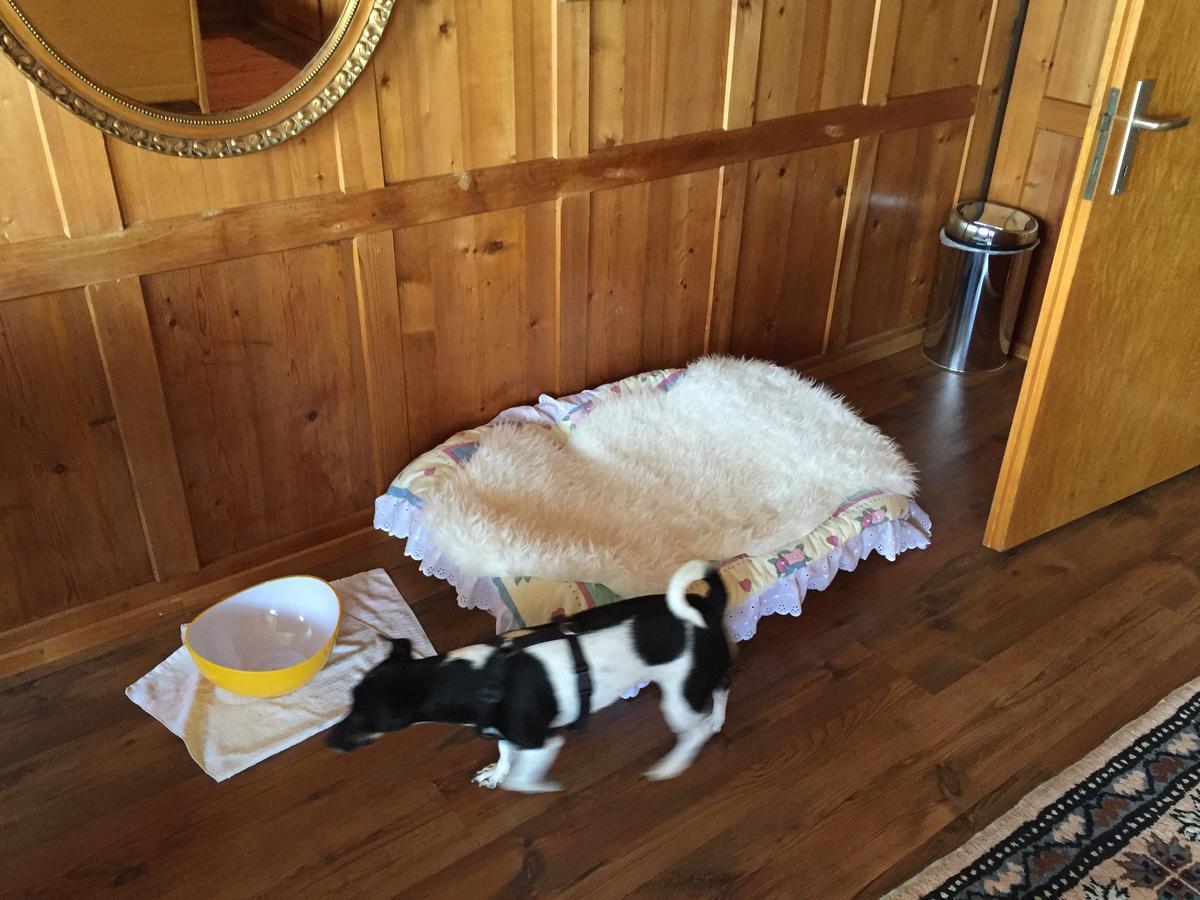 Wohlfuehloase Fuer Mensch Und Hund Bed & Breakfast Uzwil Eksteriør bilde
