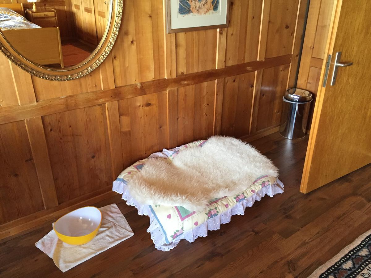 Wohlfuehloase Fuer Mensch Und Hund Bed & Breakfast Uzwil Eksteriør bilde